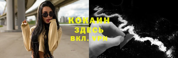 стафф Михайловка