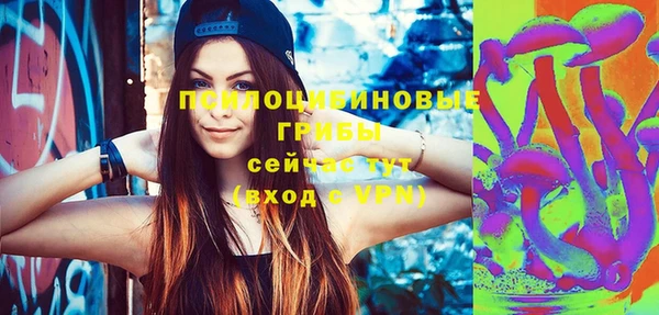 spice Мегион